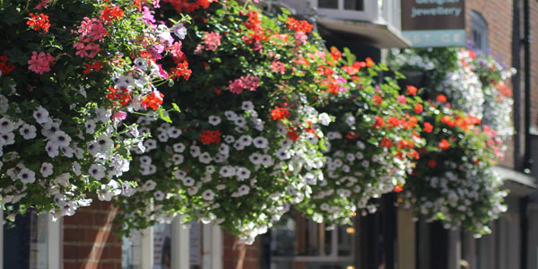 Hanging basket header